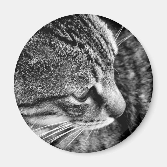 Cat Photo Magnet (Front)