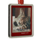 Cat Photo Meowy Christmas Rustic Red 