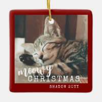 Cat Photo Meowy Christmas Rustic Red