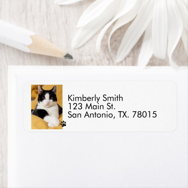  Cat Photo Return Address  (Insitu)
