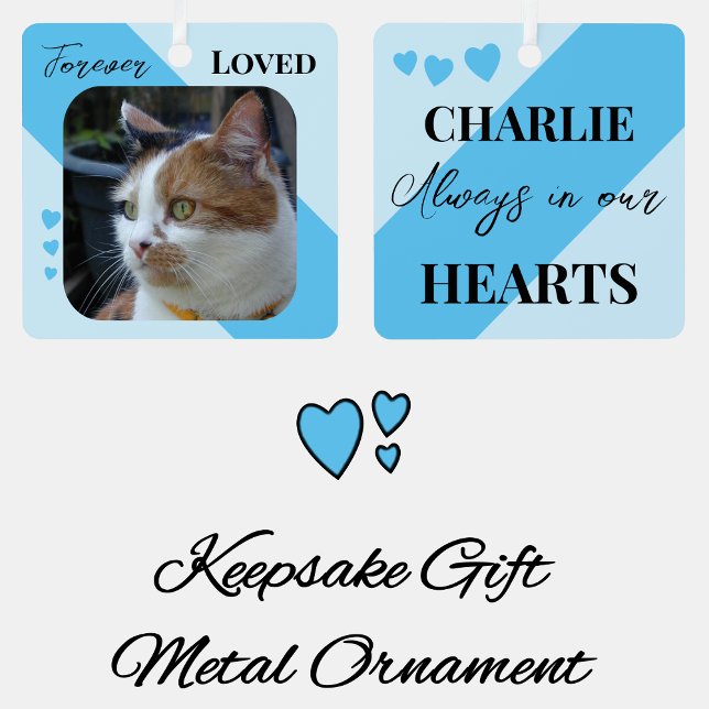 Cat Photo Sympathy Keepsake Pet Memorial blue Metal Ornament (Creator Uploaded)