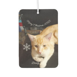 Cat Photo Text, Customize, Happy New Year 20XX,  Air Freshener