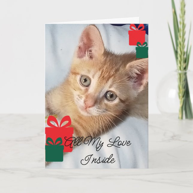 Cat Photo Text Customize  Holiday Card (Front)