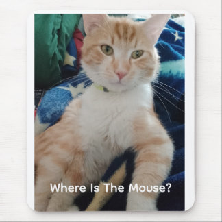 Cat Photo Text Customize Mousepad