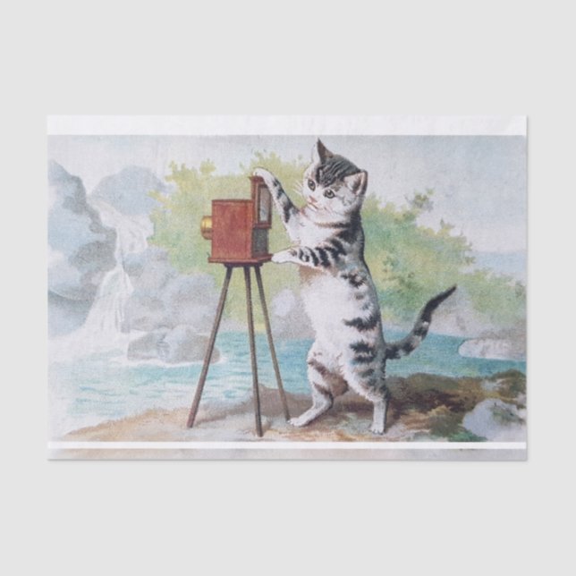 Cat Photographer • Helena Maguire (1860-1909) Tissue Paper (Front)