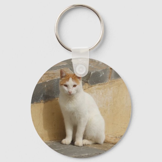 Cat Photography Keychain (Front)