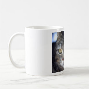 cat picture mug