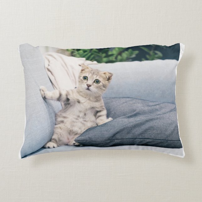  cat Pillow (Front)