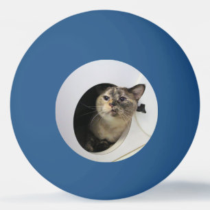 Cat Ping Pong Ball