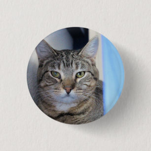Cat Ping Pong Ball 1 Inch Round Button