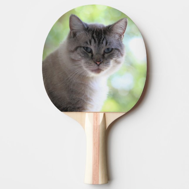 Cat  ping pong paddle (Front)