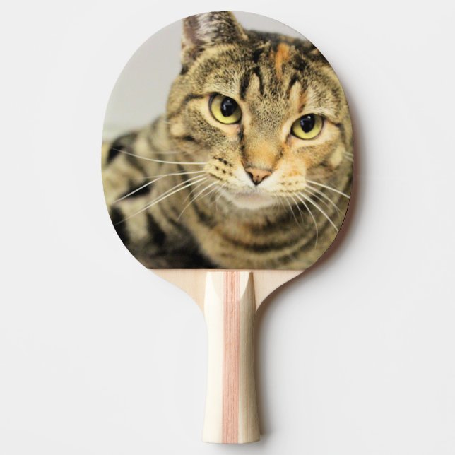 Cat Ping Pong Paddle (Front)
