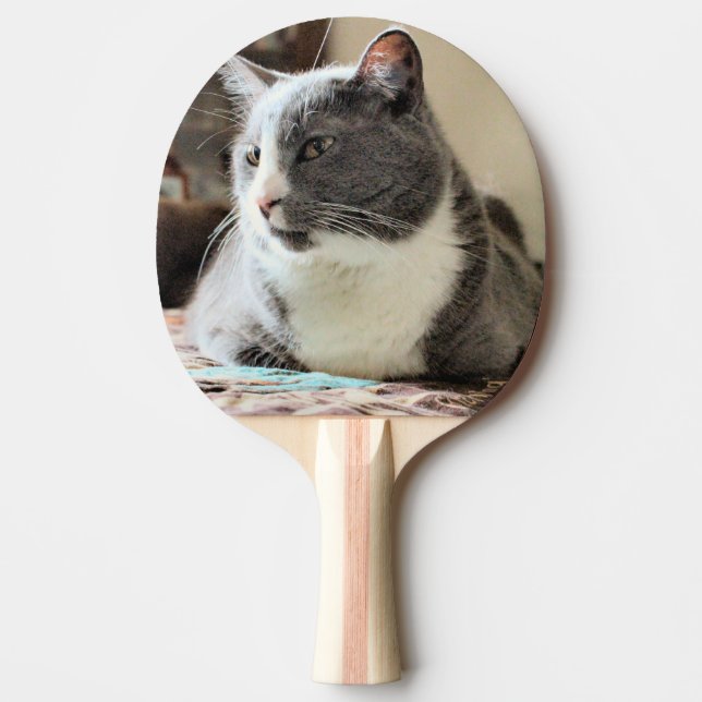Cat Ping Pong Paddle (Front)