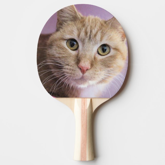 Cat Ping Pong Paddle (Front)
