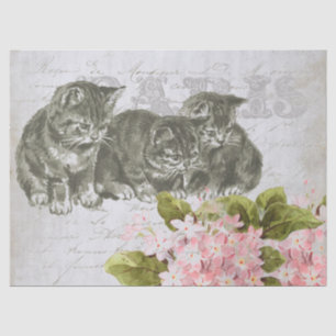 Cat Pink Flower French Script Paris Decoupage Tissue Paper