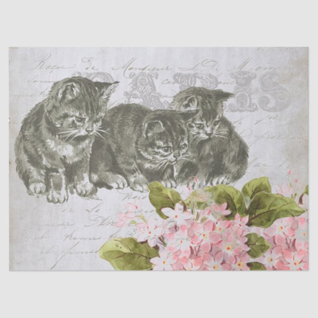Cat Pink Flower French Script Paris Decoupage  Tissue Paper (Front)