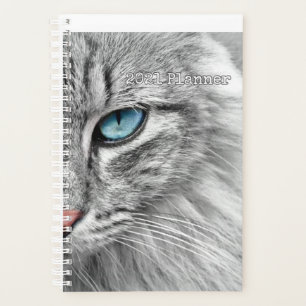 Cat Planner 2021