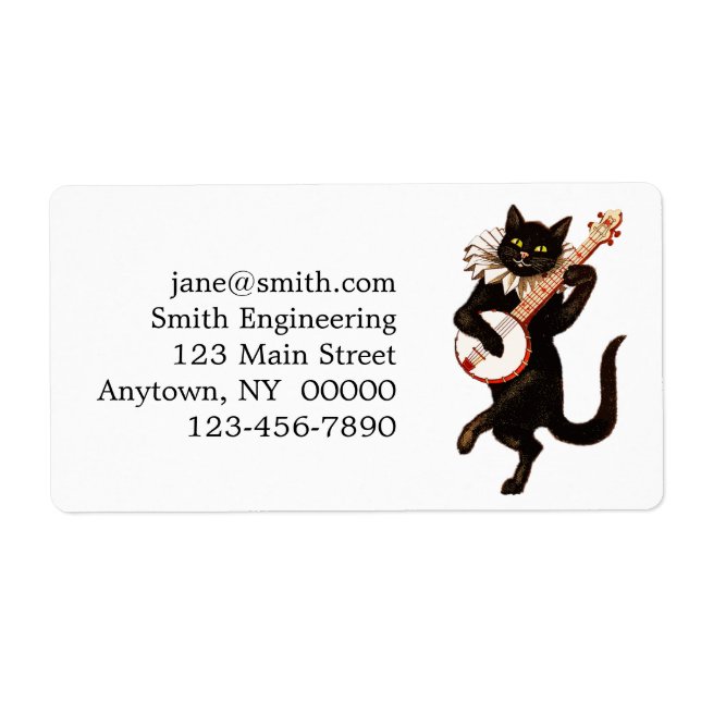 Cat playing banjo (Devant)