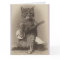 CAT PLAYING BANJO OVERSIZED BIRTHDAY CARDS