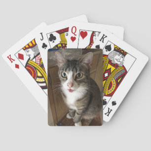 Cat Playing Cards