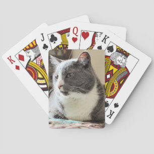 Cat Playing Cards