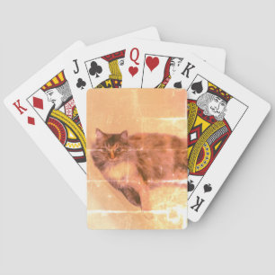 Cat Playing Cards