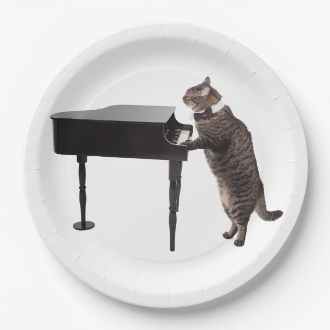 Cat Playing Piano Paper Plate (Front)