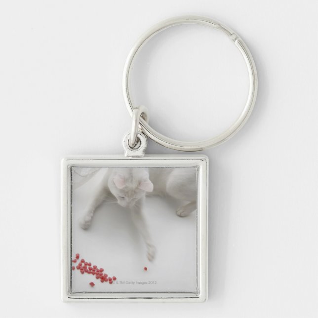 Cat playing with heart shaped candy keychain (Front)