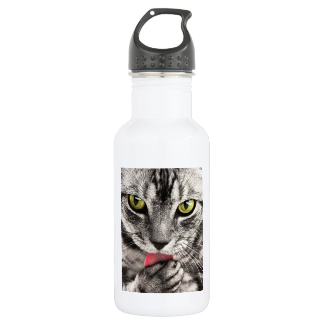 Cat Portrait 532 Ml Water Bottle (Front)