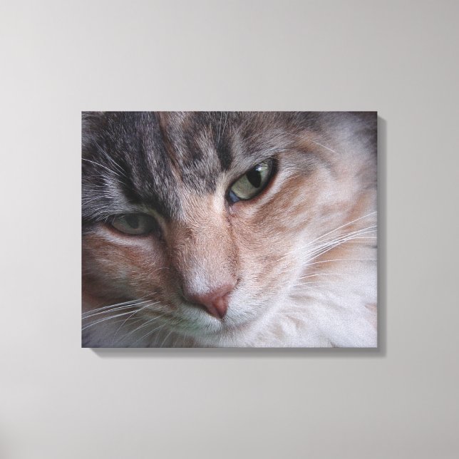 Cat Portrait Canvas Print (Front)