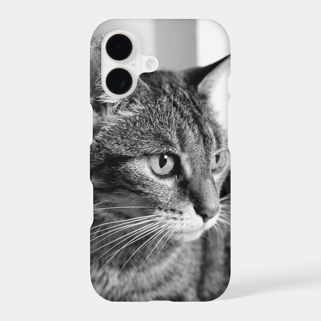 Cat portrait - the thinker (Back)