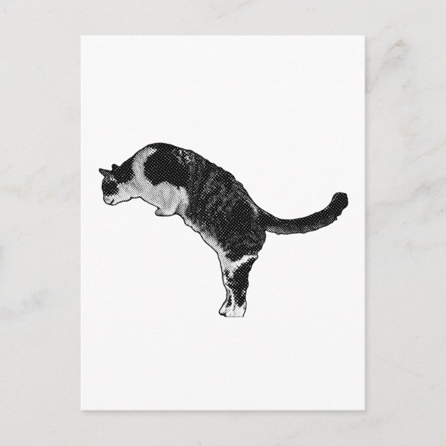 Cat Pose Joy Postcard (Front)