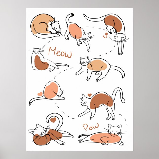 Cat Poses. Poster (Front)