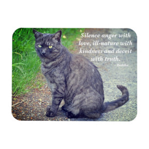 Cat posing II Motivational Buddhist Quote Magnet