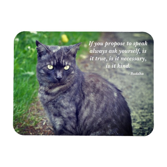 Cat posing on a walk Motivational Buddhist Quote Magnet (Horizontal)