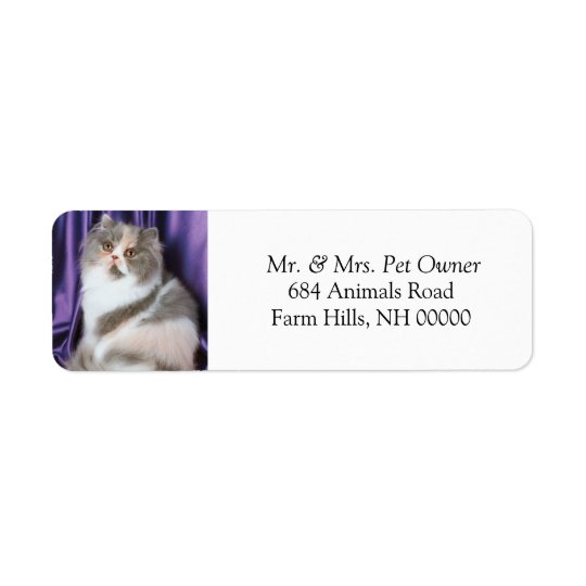 Cat Posing Return Address Labels Stickers
