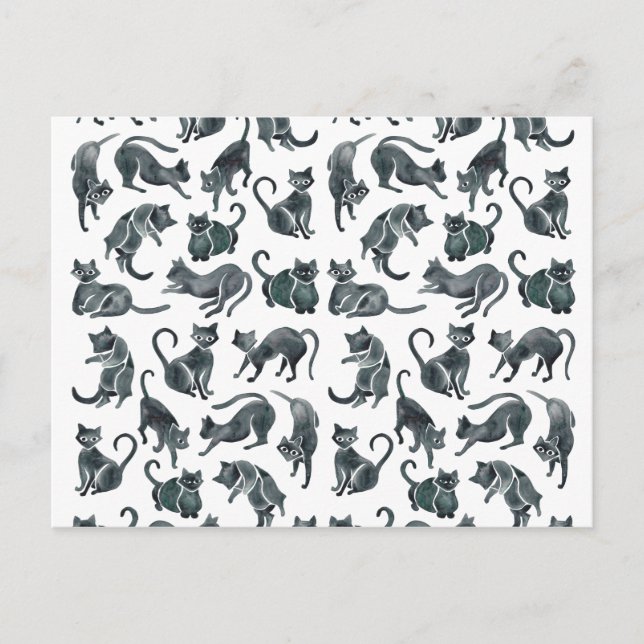 Cat Positions – Black Palette Postcard (Front)