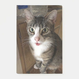 Cat Post-it Notes