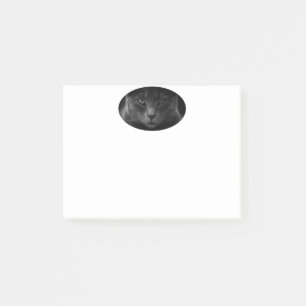 Cat Post-it Notes