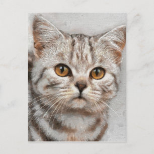 cat postcard