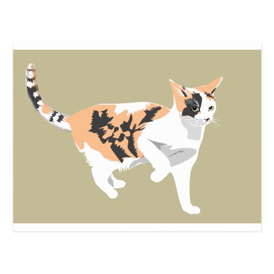 Cat Postcard
