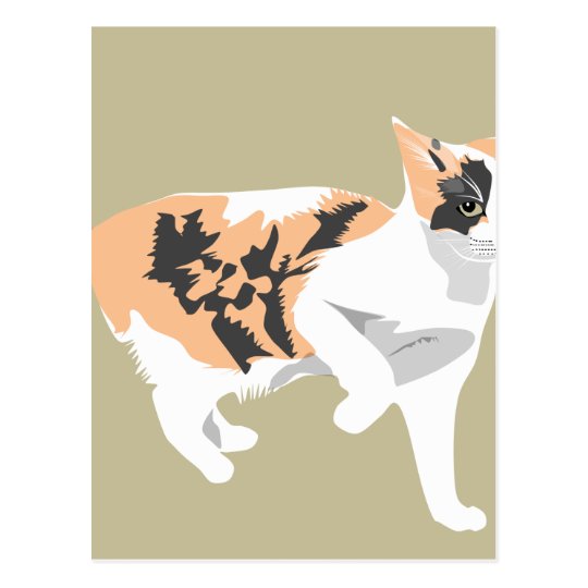 Cat Postcard