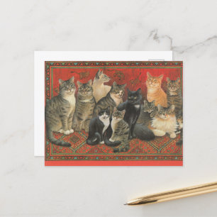 CAT POSTCARD ILLUSTRATION