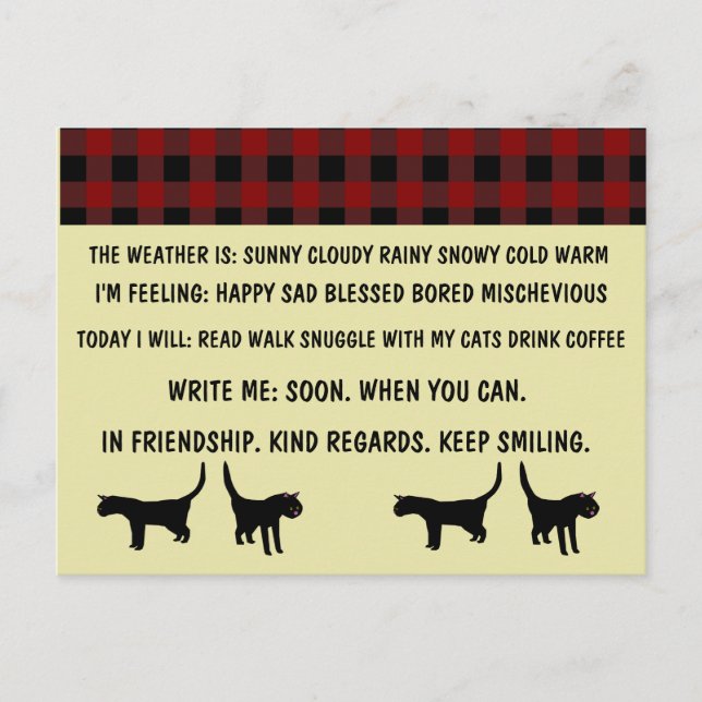 CAT POSTCARDS funny FOR BUSY PERSON (Front)