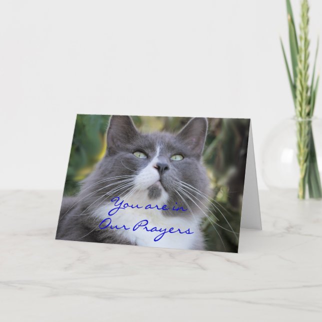 Cat Prayer card-change for any occasion Card (Front)