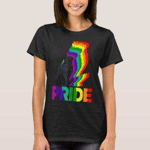 Cat Pride Cat Rainbow Colour  Cat  Kitten 11 T-Shirt