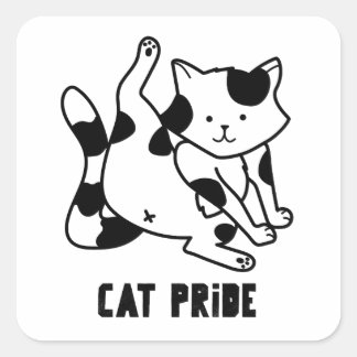 Cat Pride Funny Cat Silly Black and White Cat Square Sticker