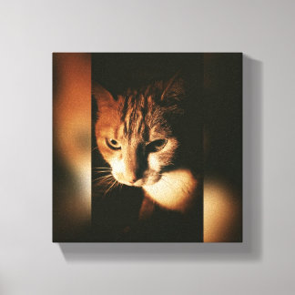 Cat Printed On Canvas Print