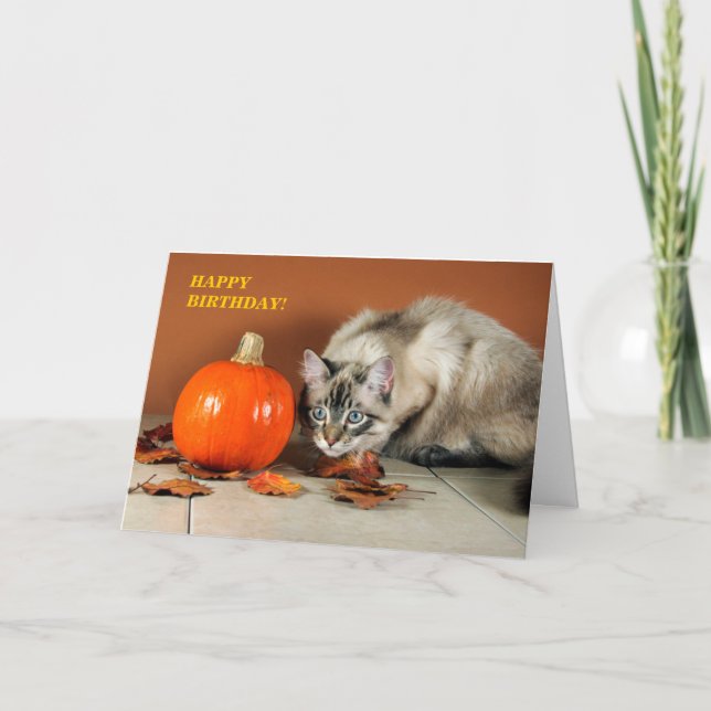 Cat & Pumpkin Birthday Card (Front)