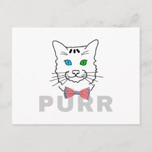 Cat Purr Postcard
